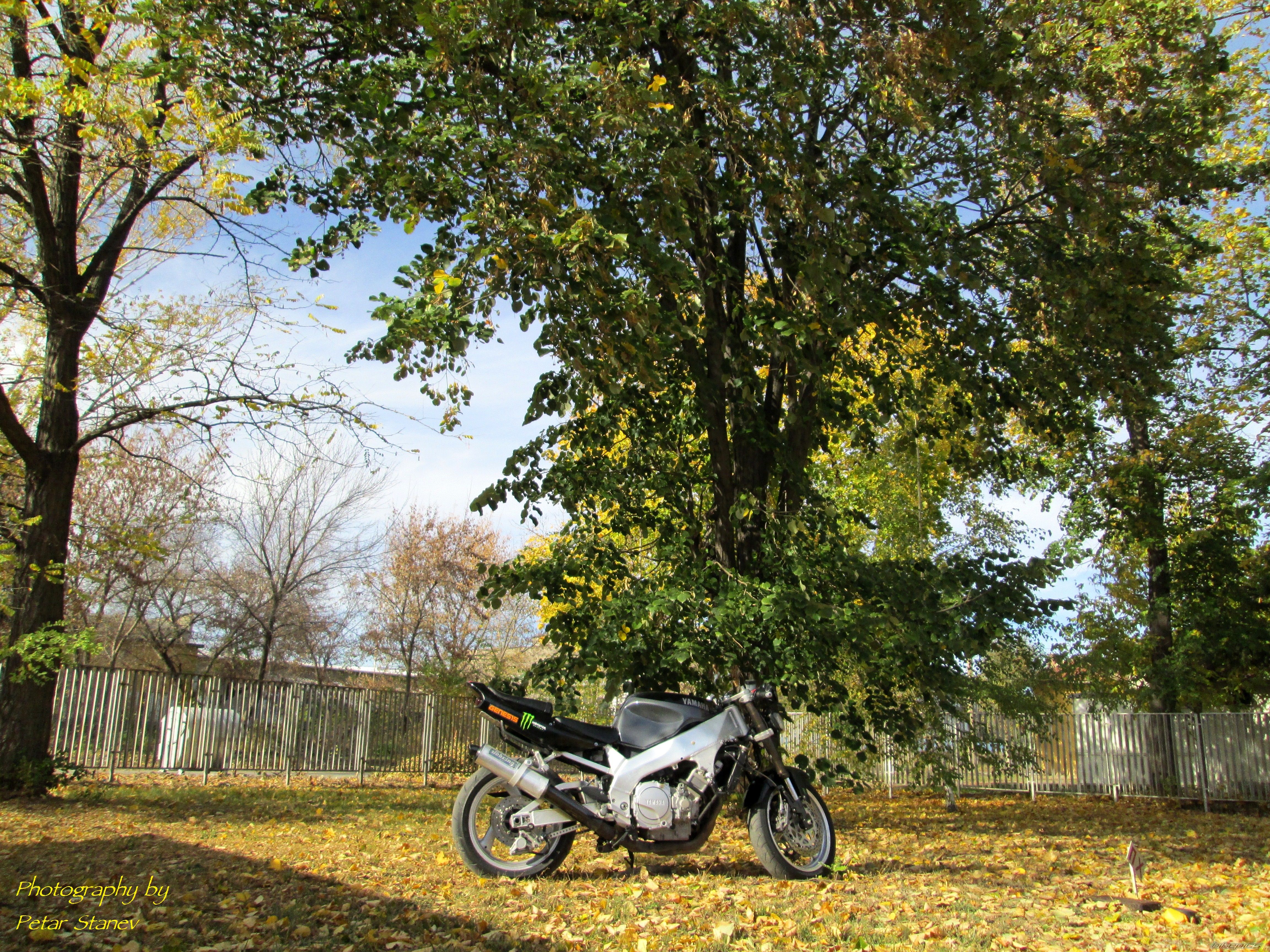Photo 2492942