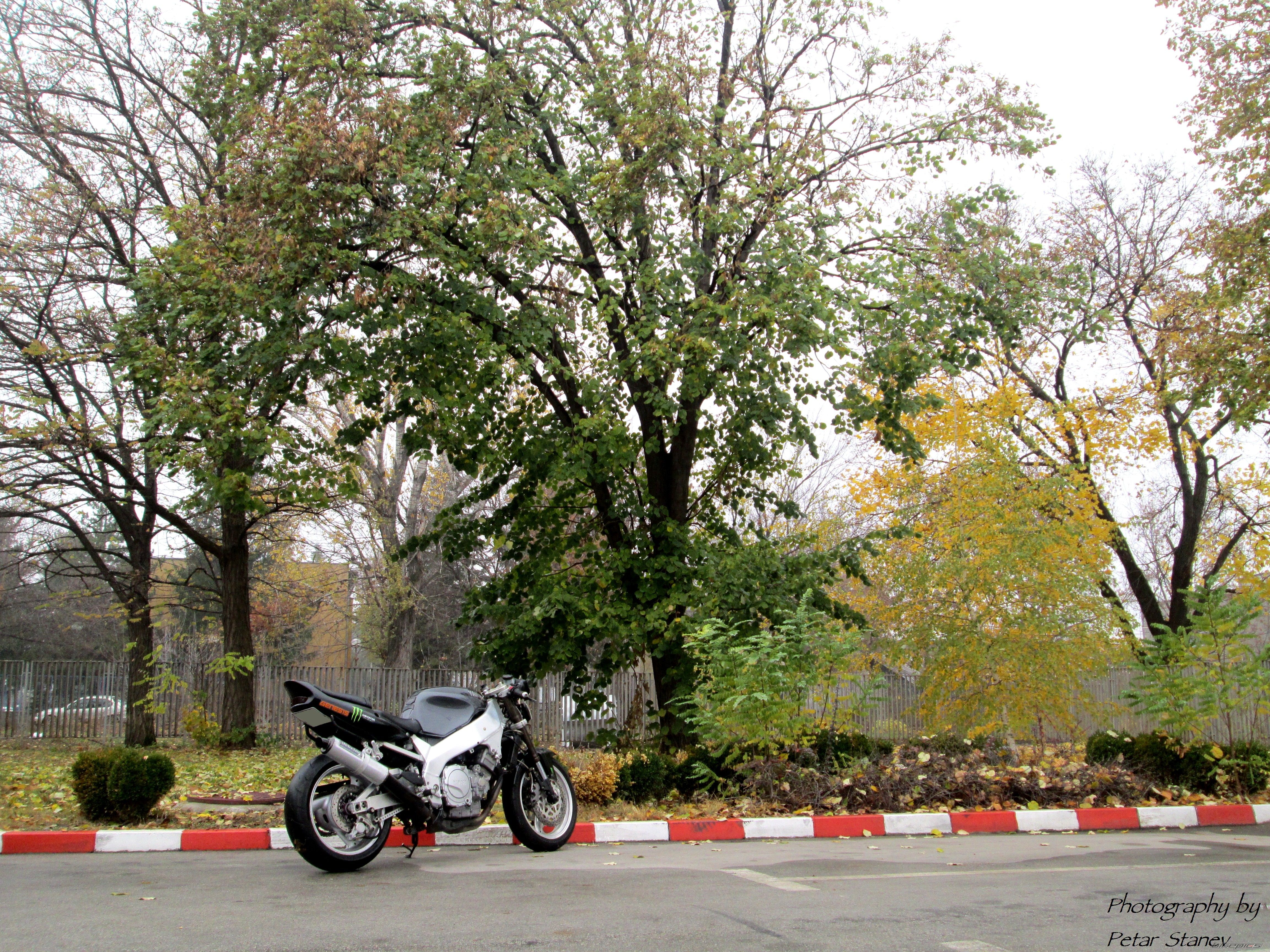 Photo 2492958