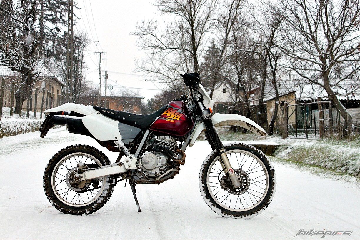 Bike Photo 2493024