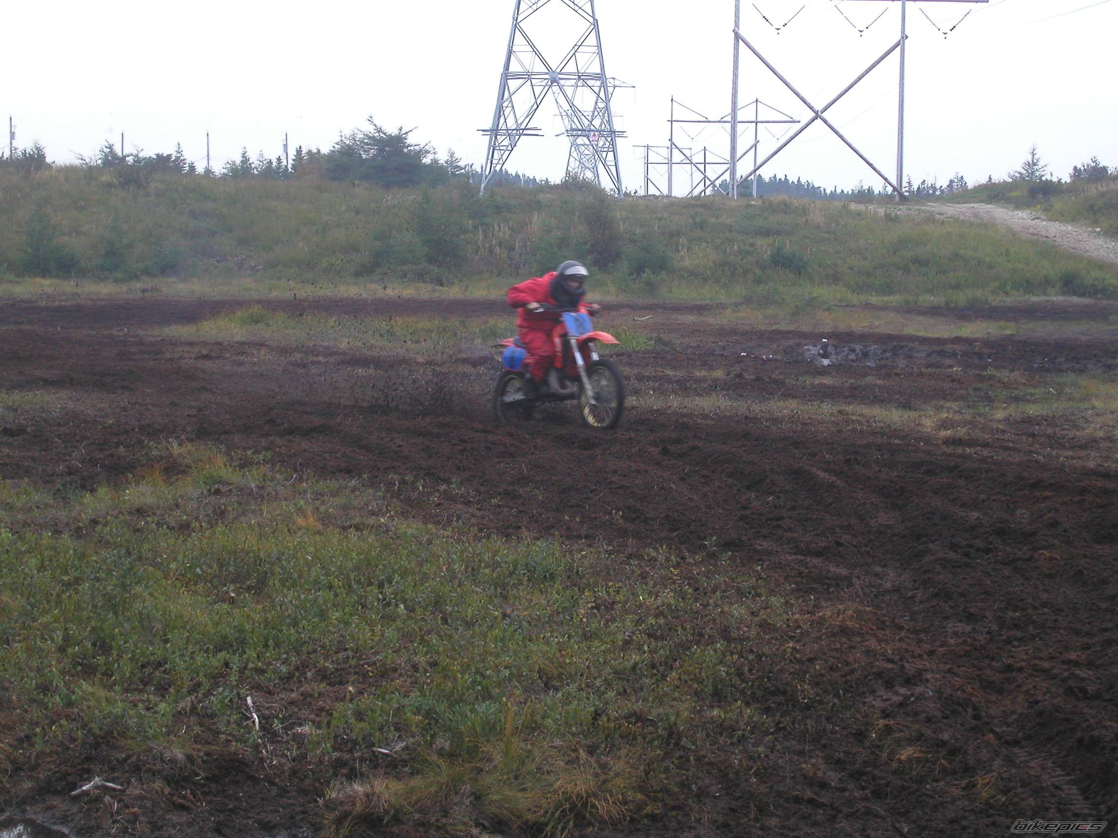 Photo 249305