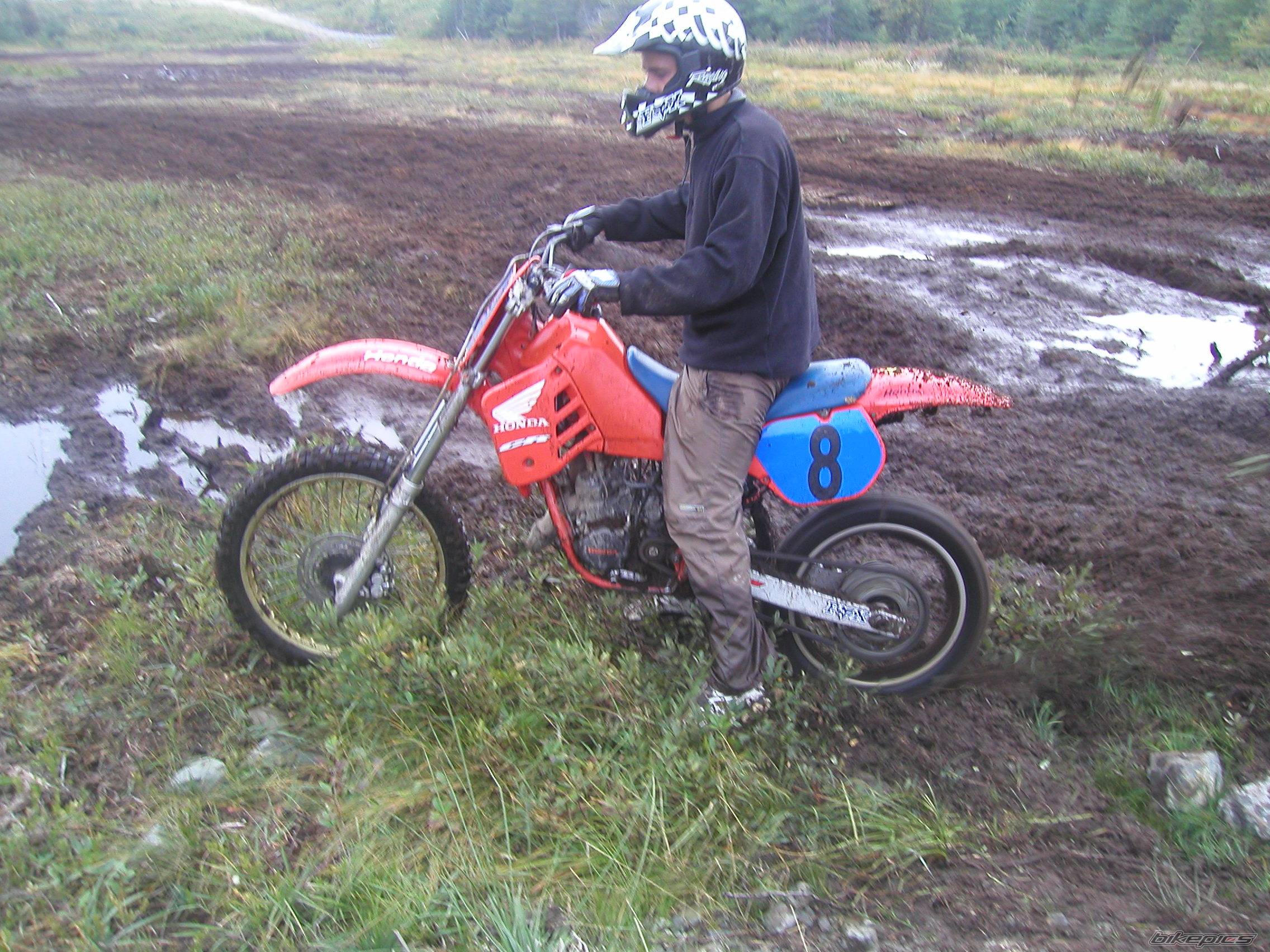 Photo 249306