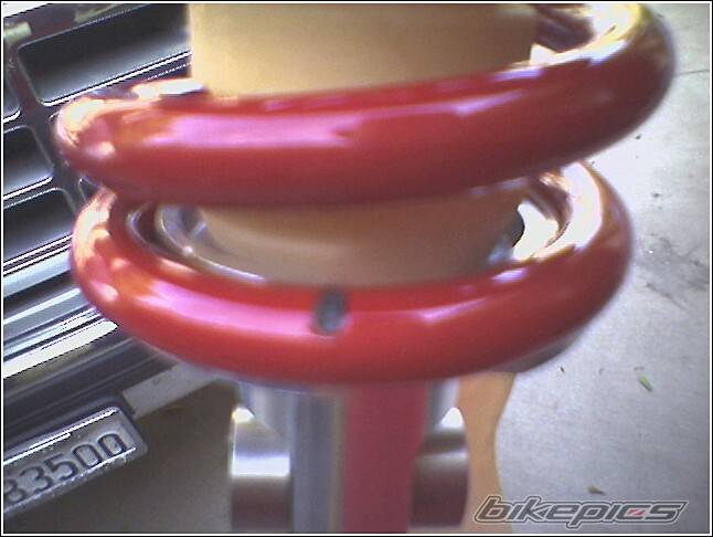 Photo 249310