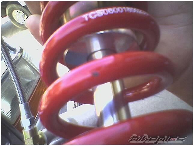 Photo 249311