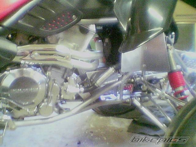 Photo 249313