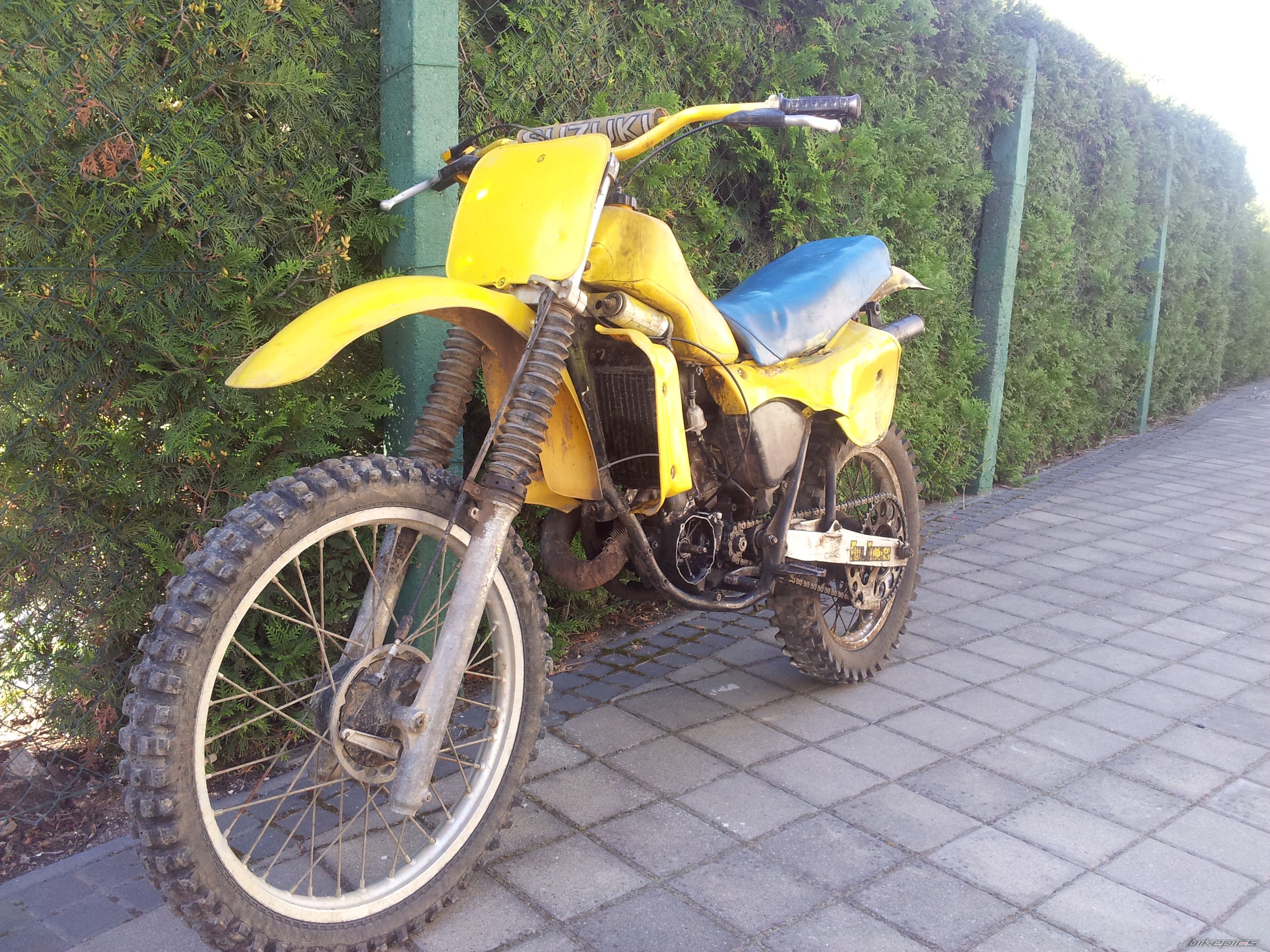 Photo 2493356