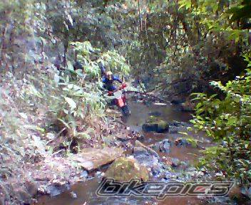 Photo 249359