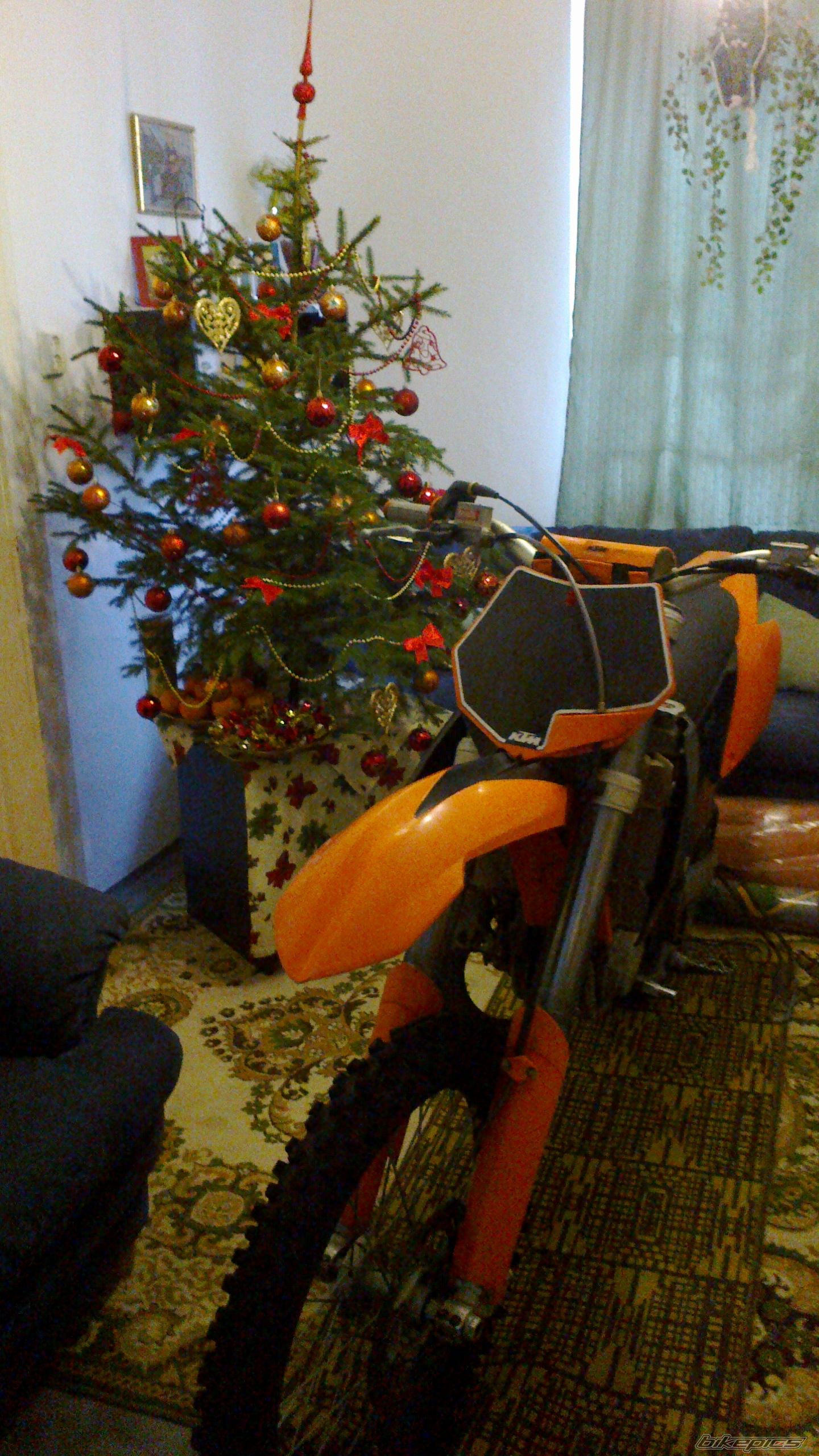 Photo 2493598