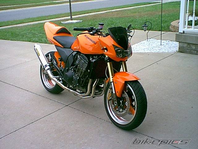 Photo 249363