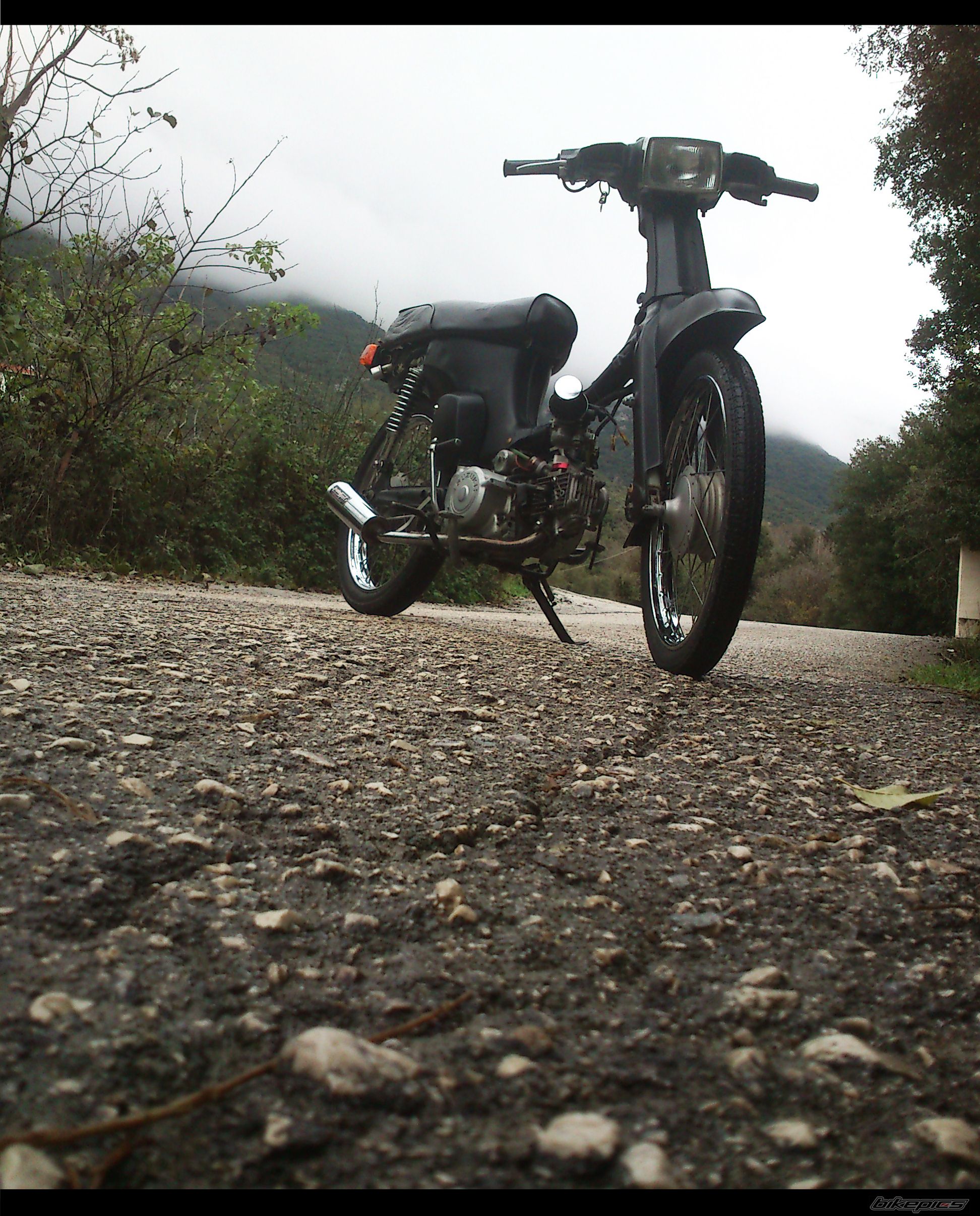 Photo 2493653