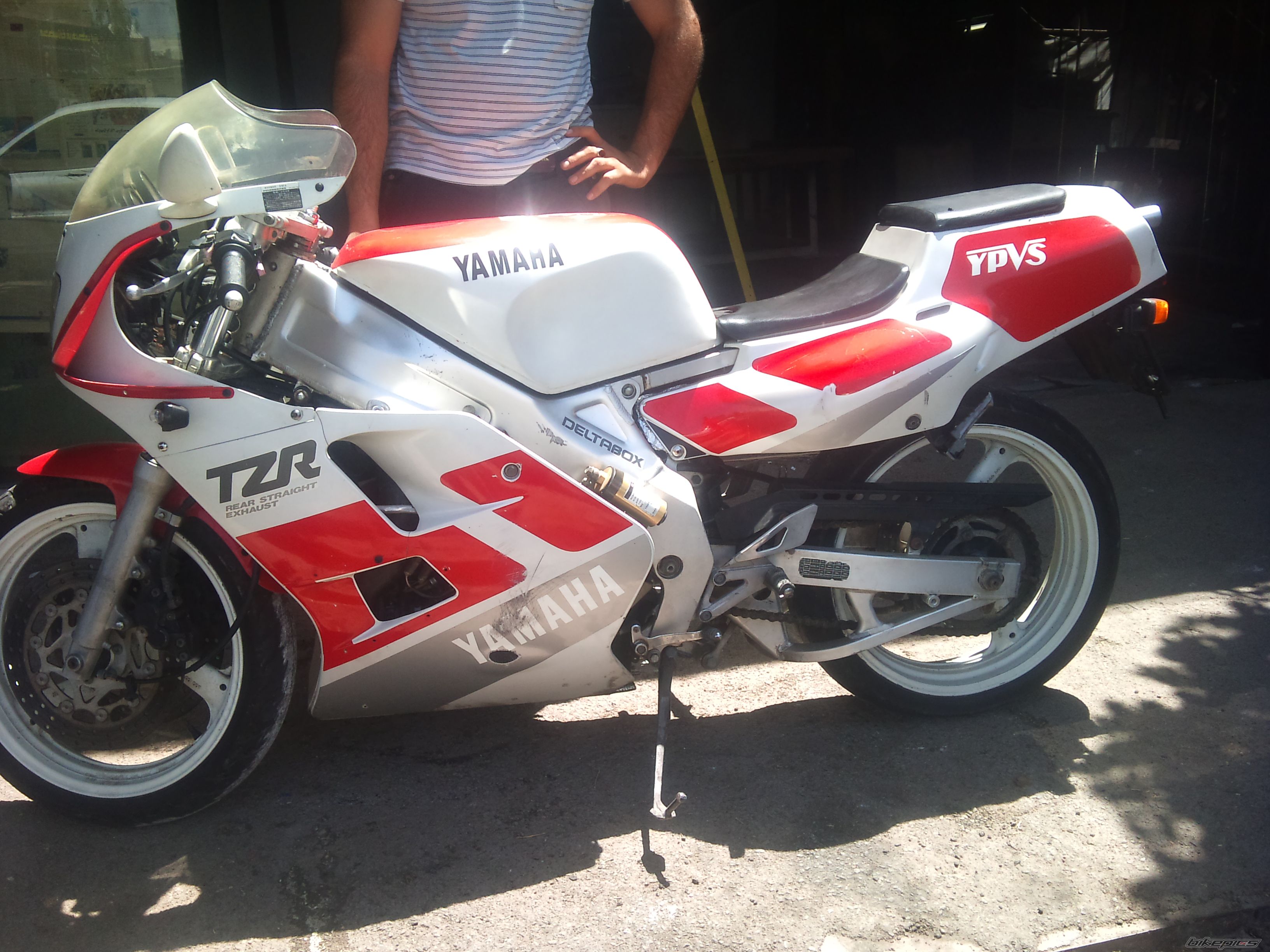 Photo 2493671