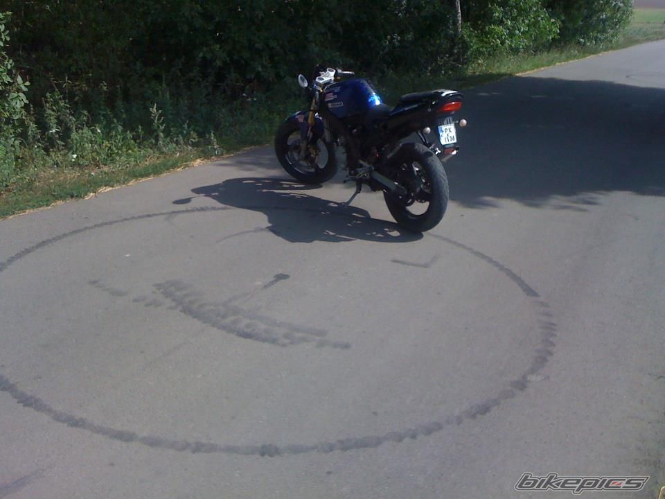 Photo 2493683