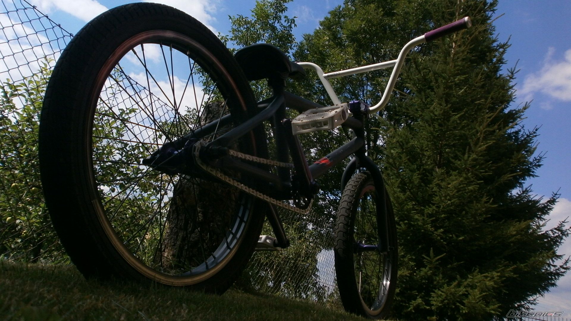 Bike Photo 2493789