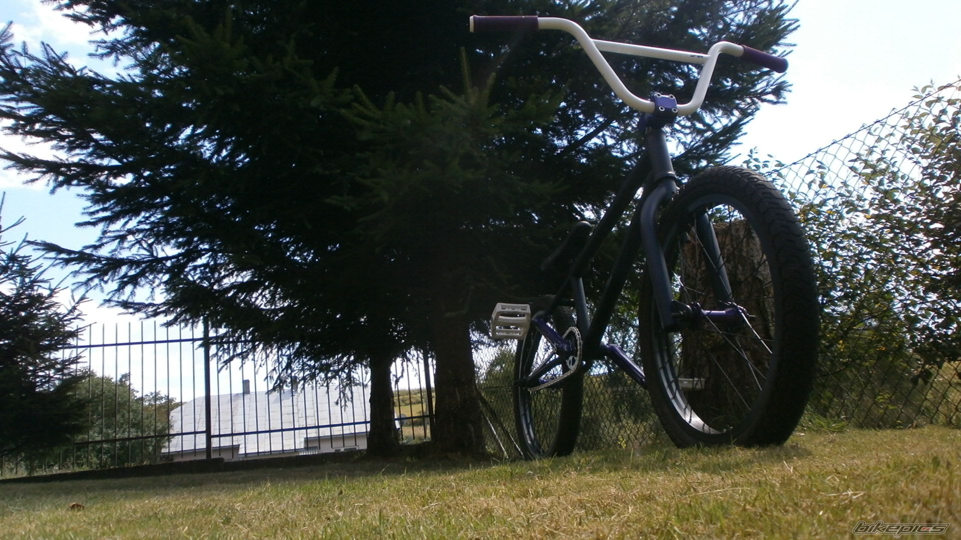 Bike Photo 2493790