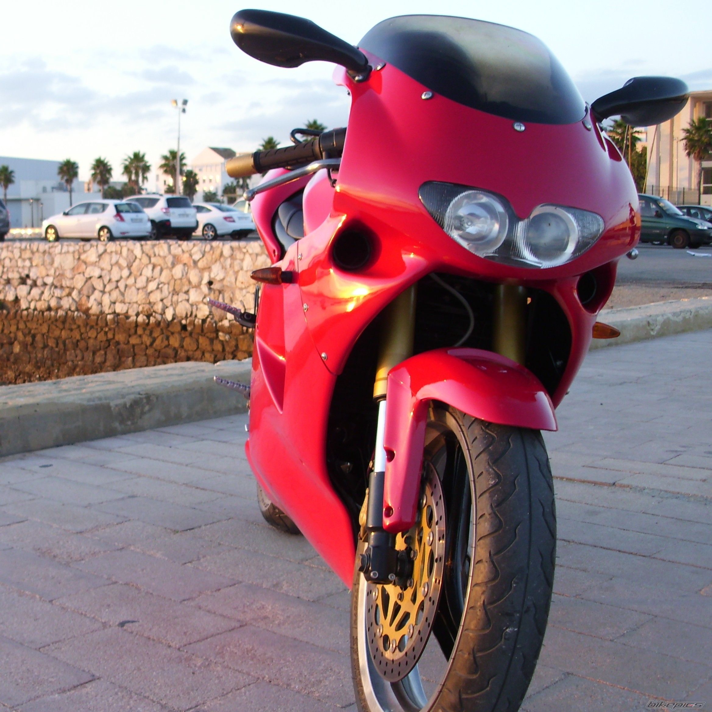 Photo 2493857
