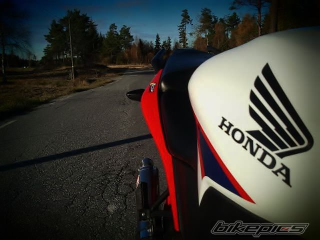 Photo 2493866