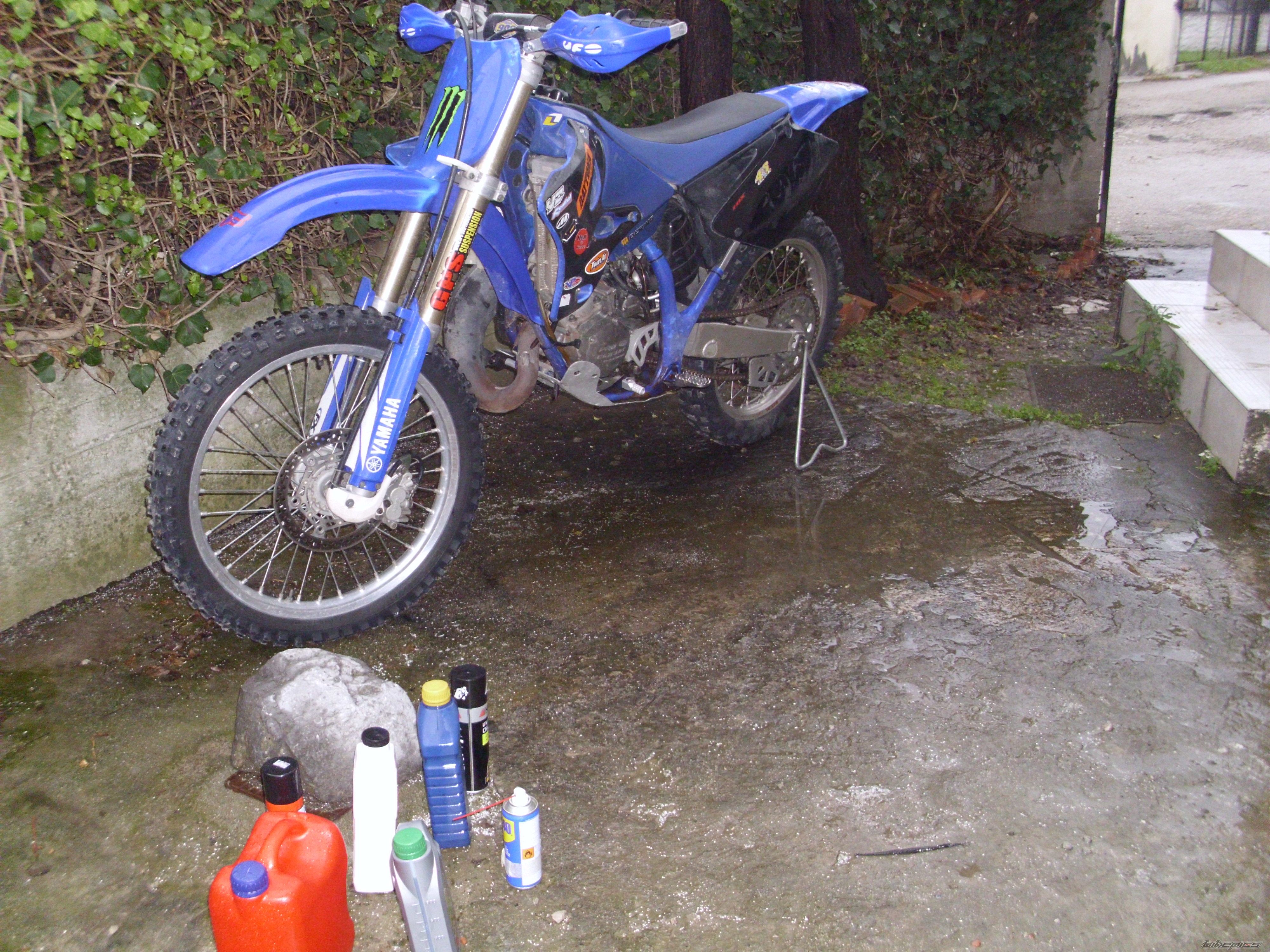 Photo 2493881