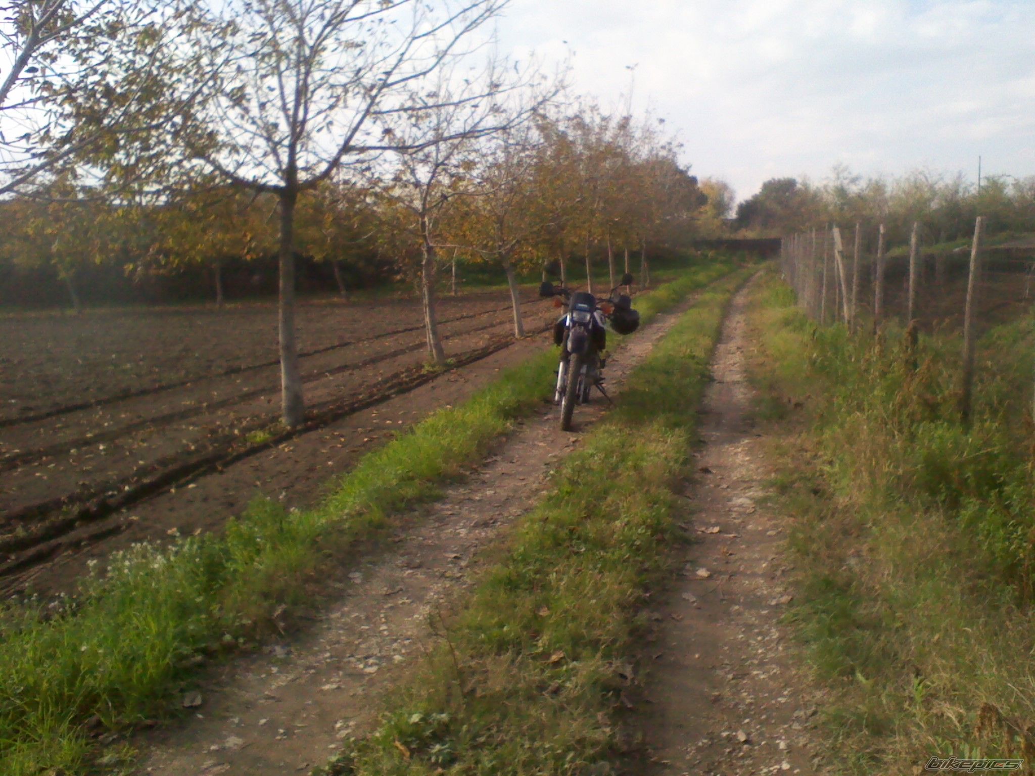 Photo 2493905