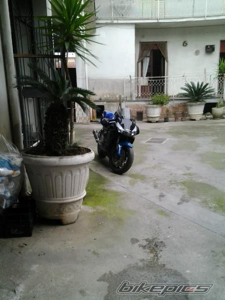 Photo 2493908