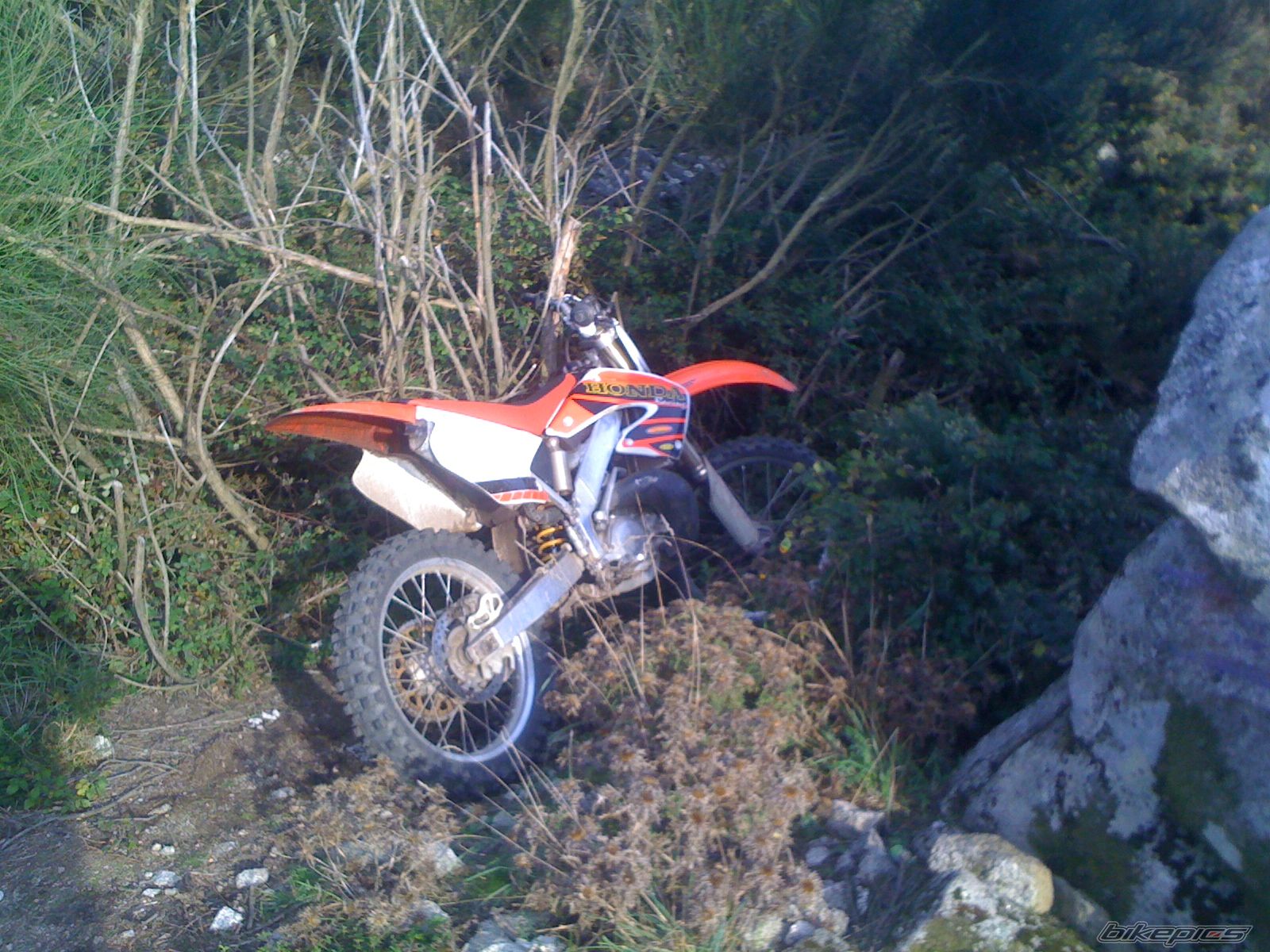 Photo 2493924