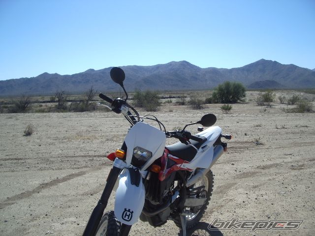 Photo 2493981
