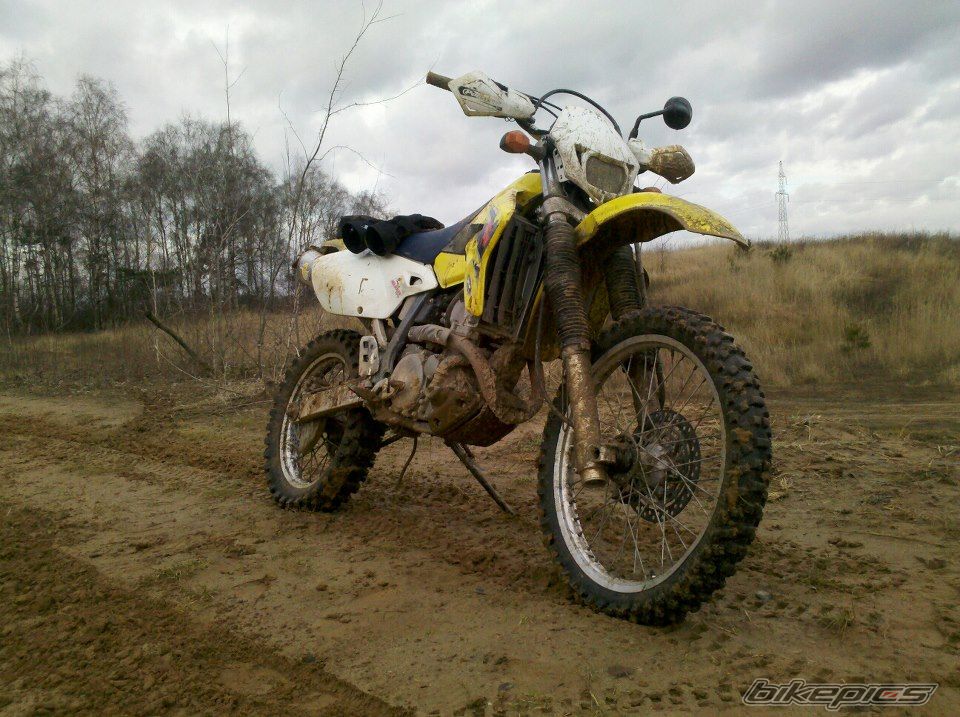 Photo 2494168
