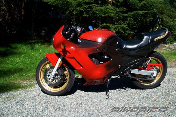 Photo 2494208