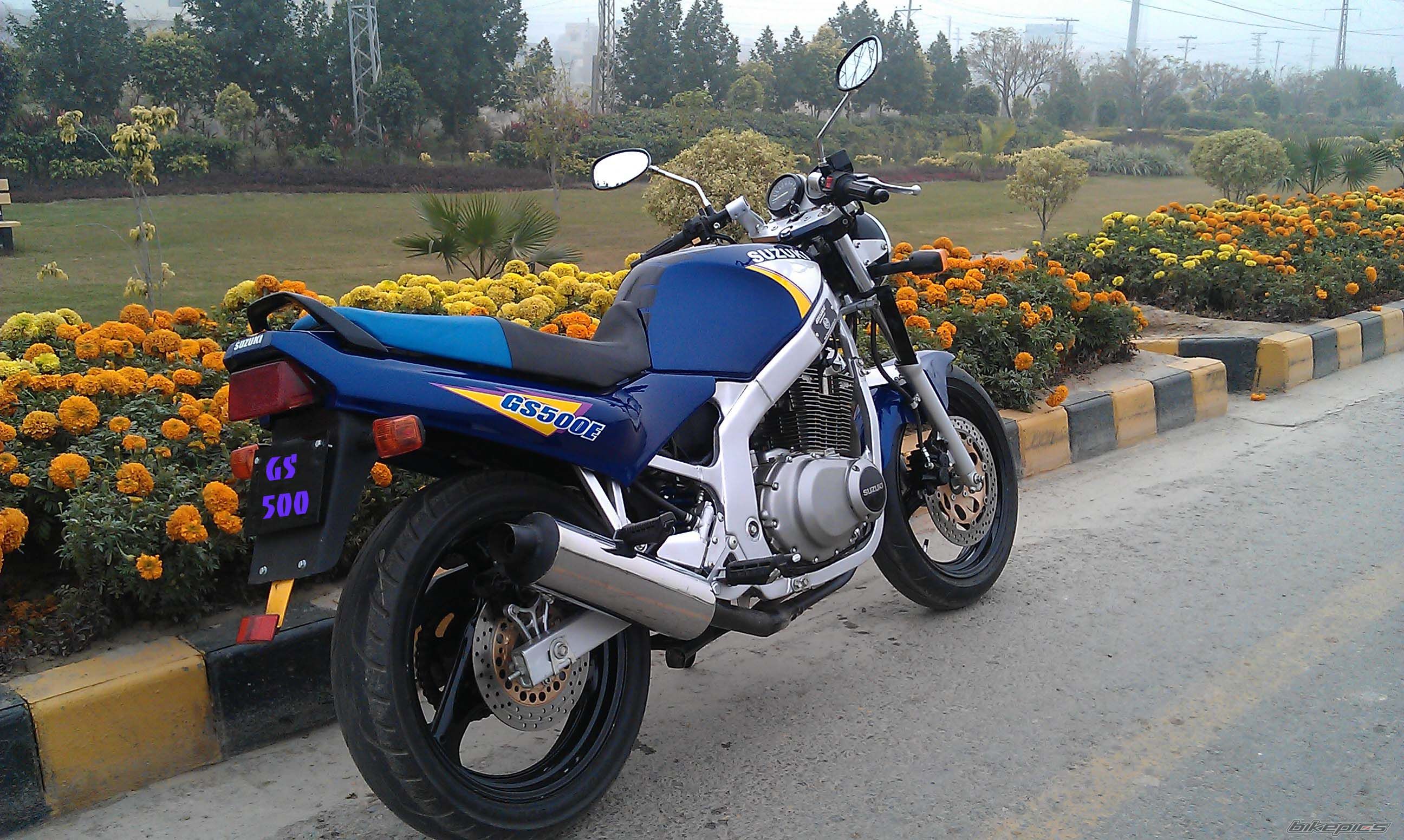 Photo 2494306