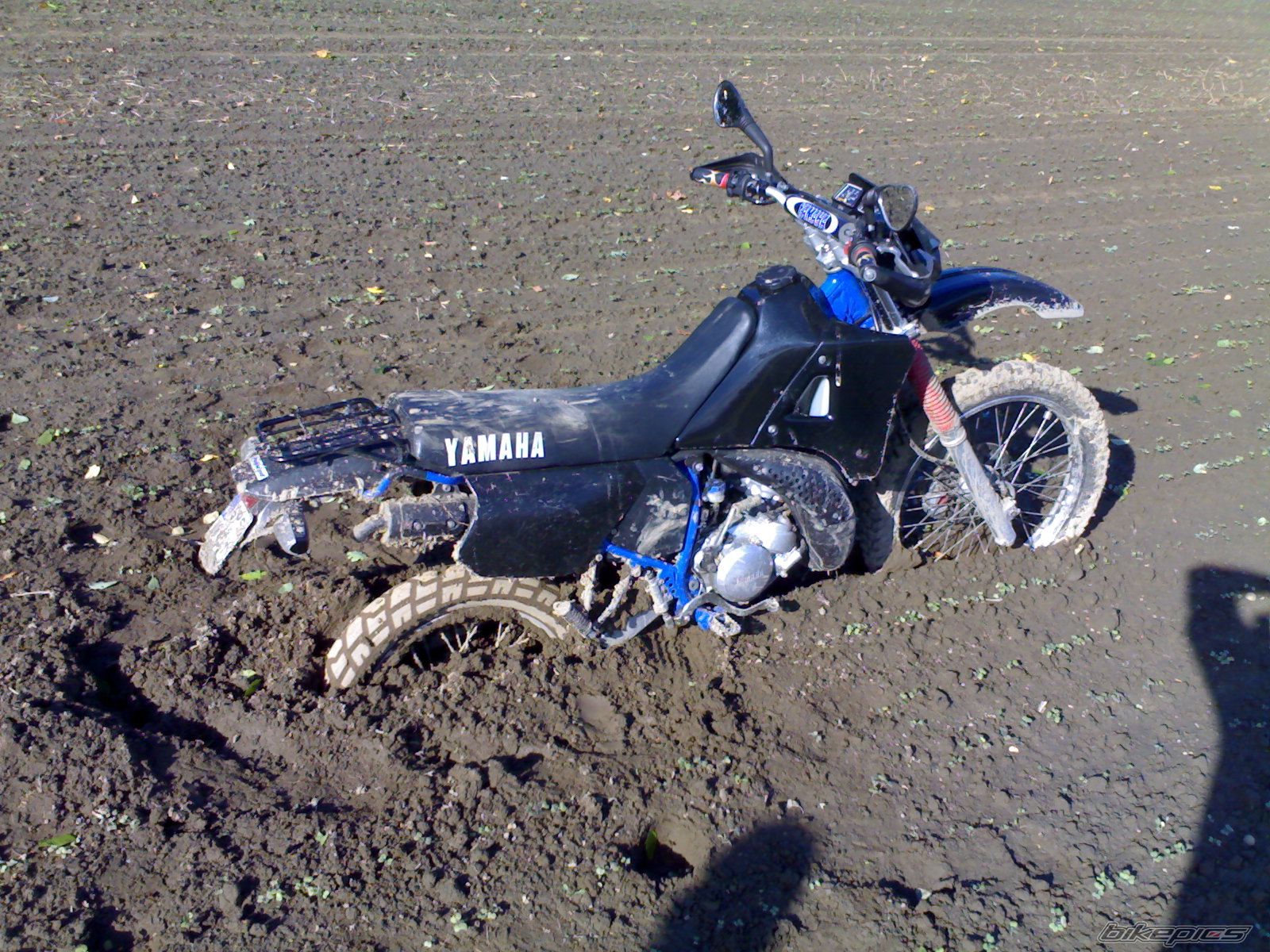 Photo 2494392