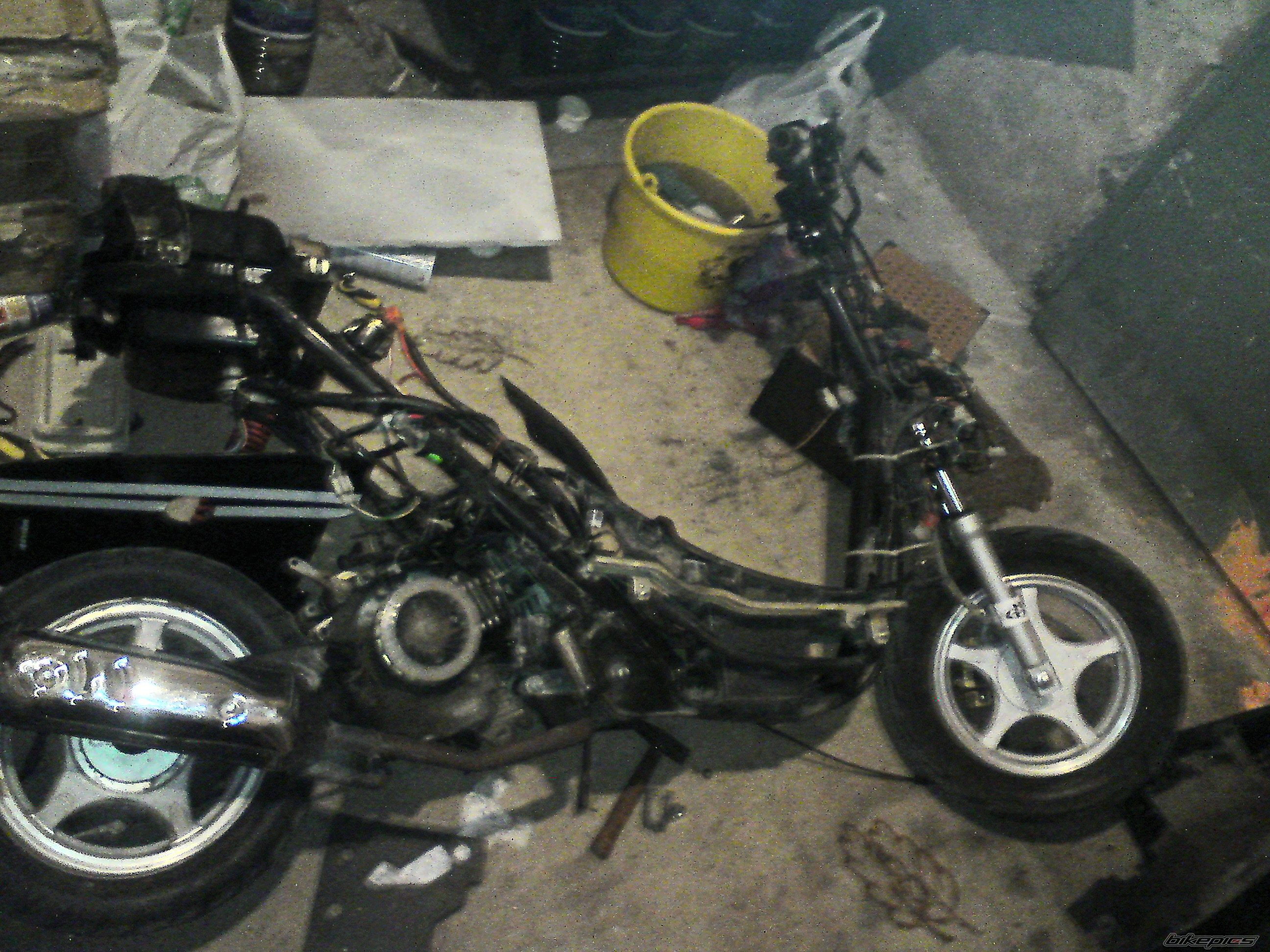 Photo 2494411