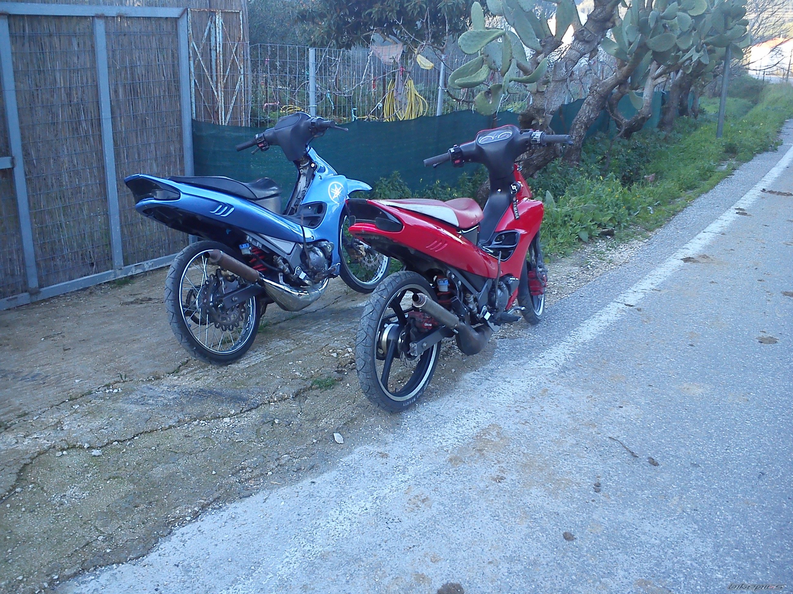 Photo 2494424
