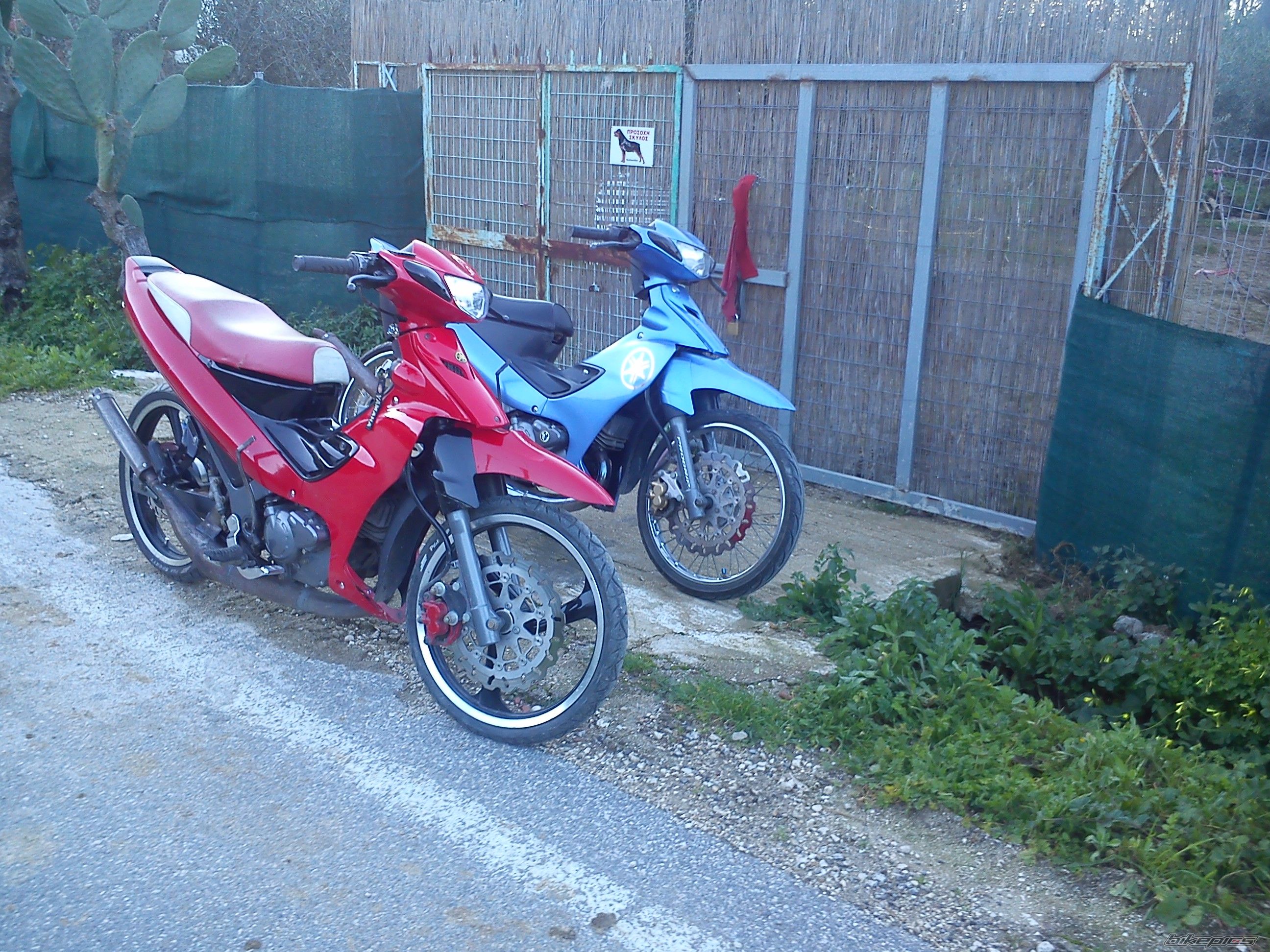 Photo 2494425