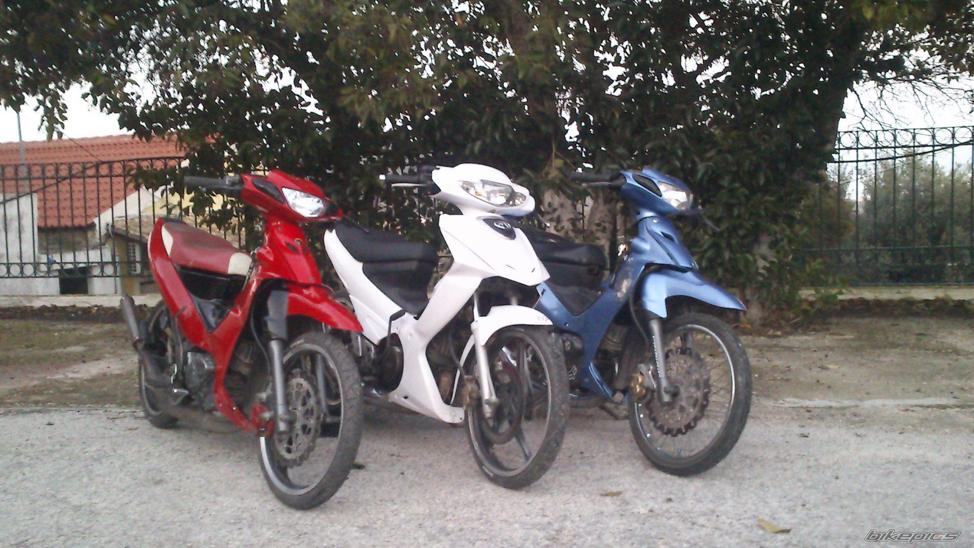 Photo 2494426