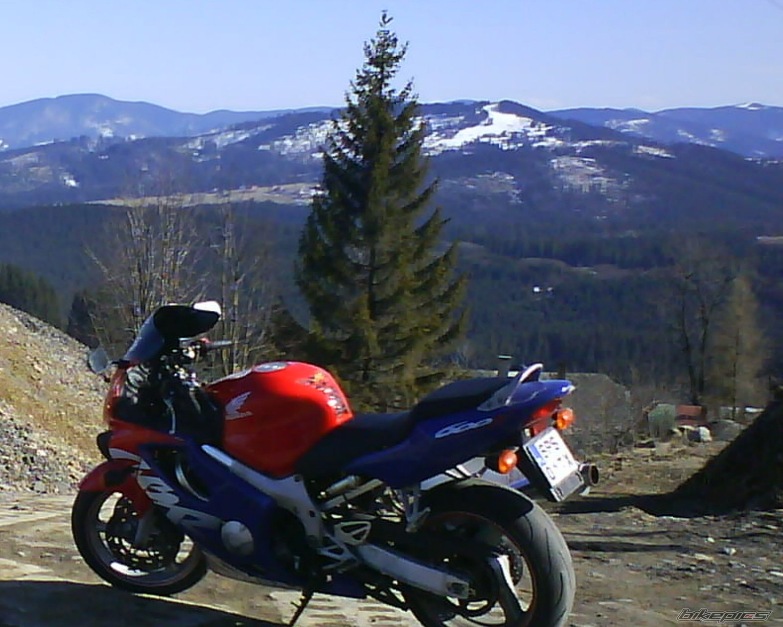 Photo 2494453