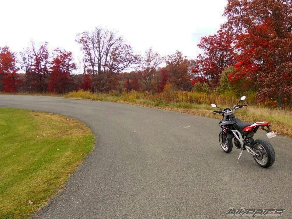 Photo 2494467