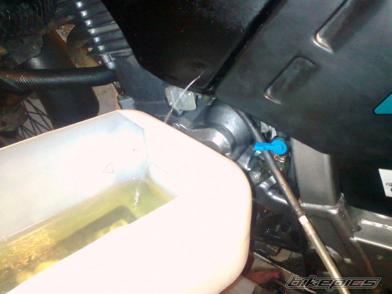 Photo 2494498