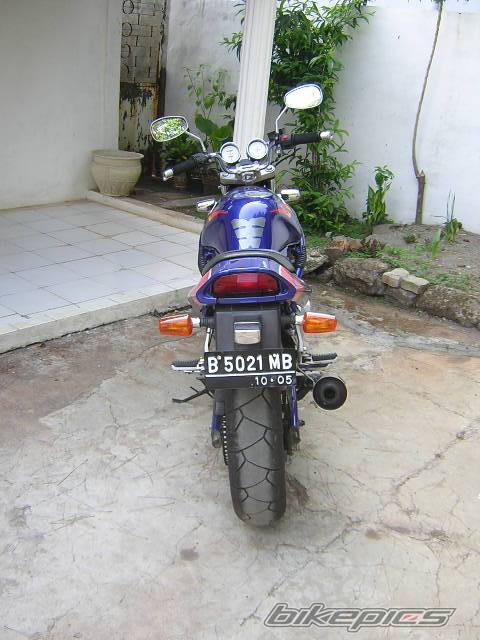 Photo 249451