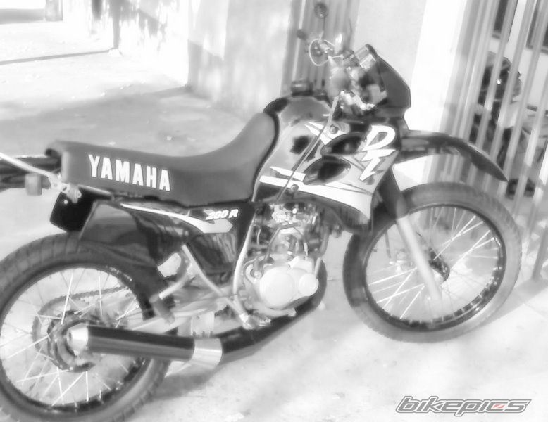 Photo 2494620