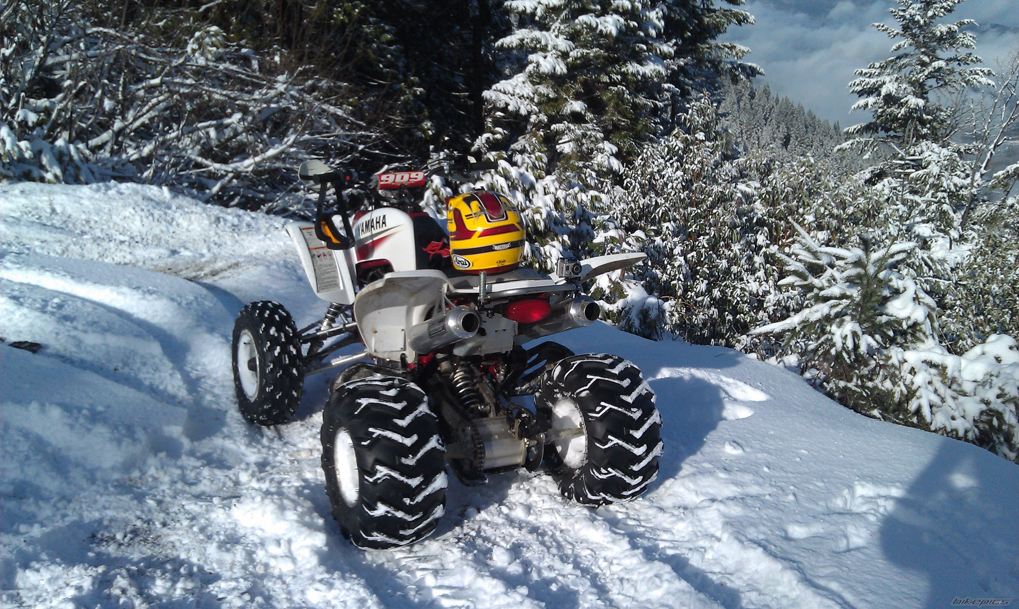 Photo 2494623