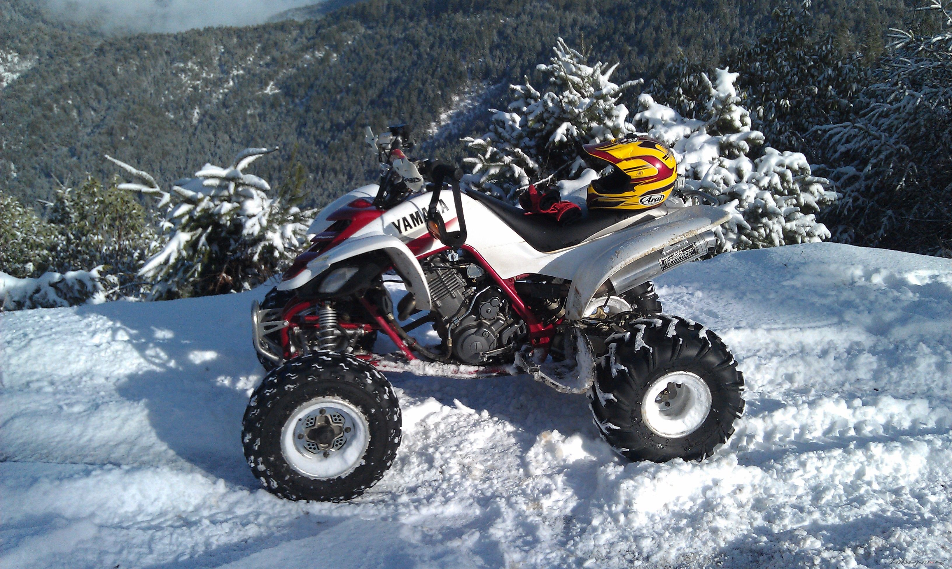 Photo 2494630