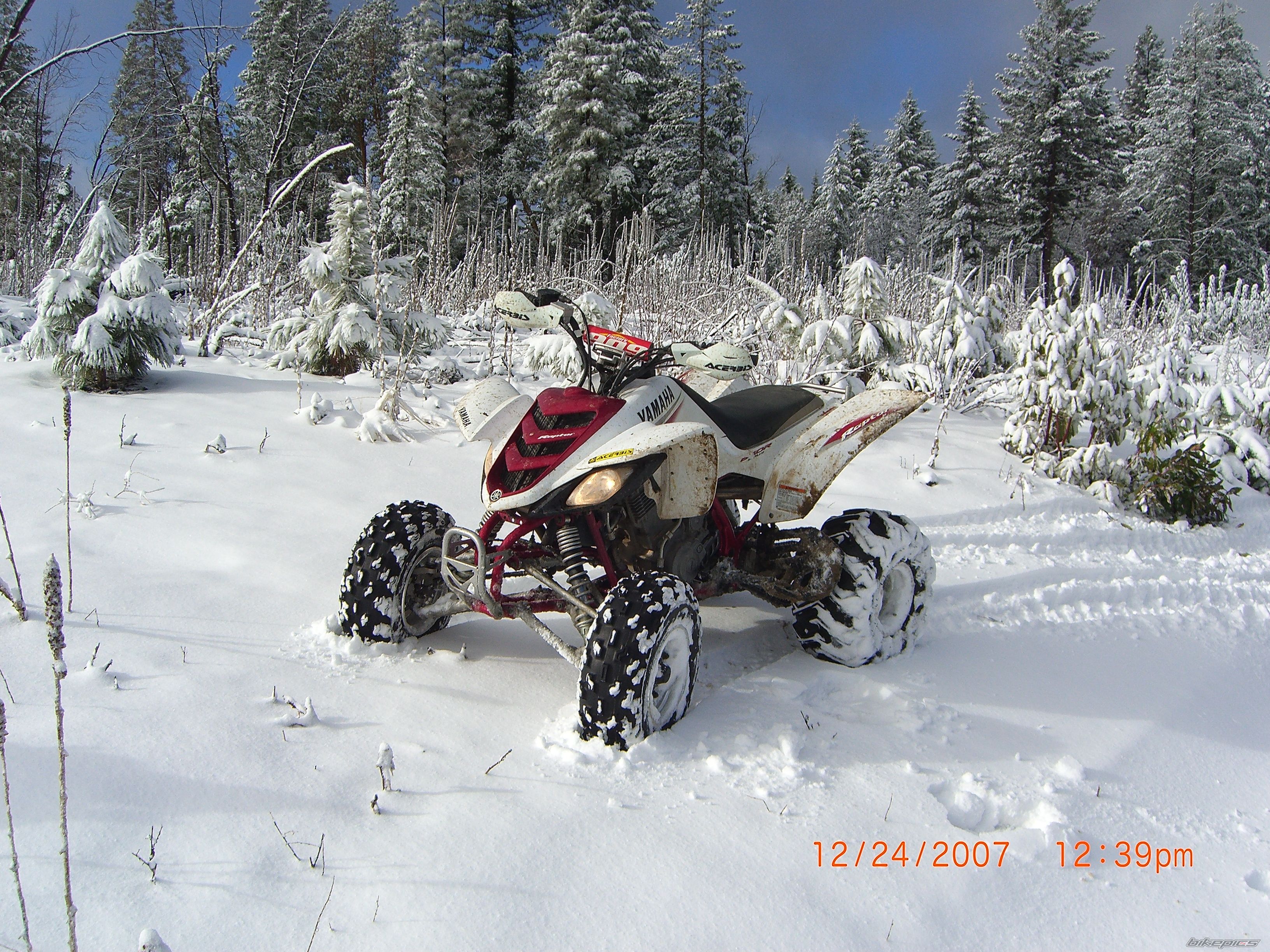 Photo 2494634