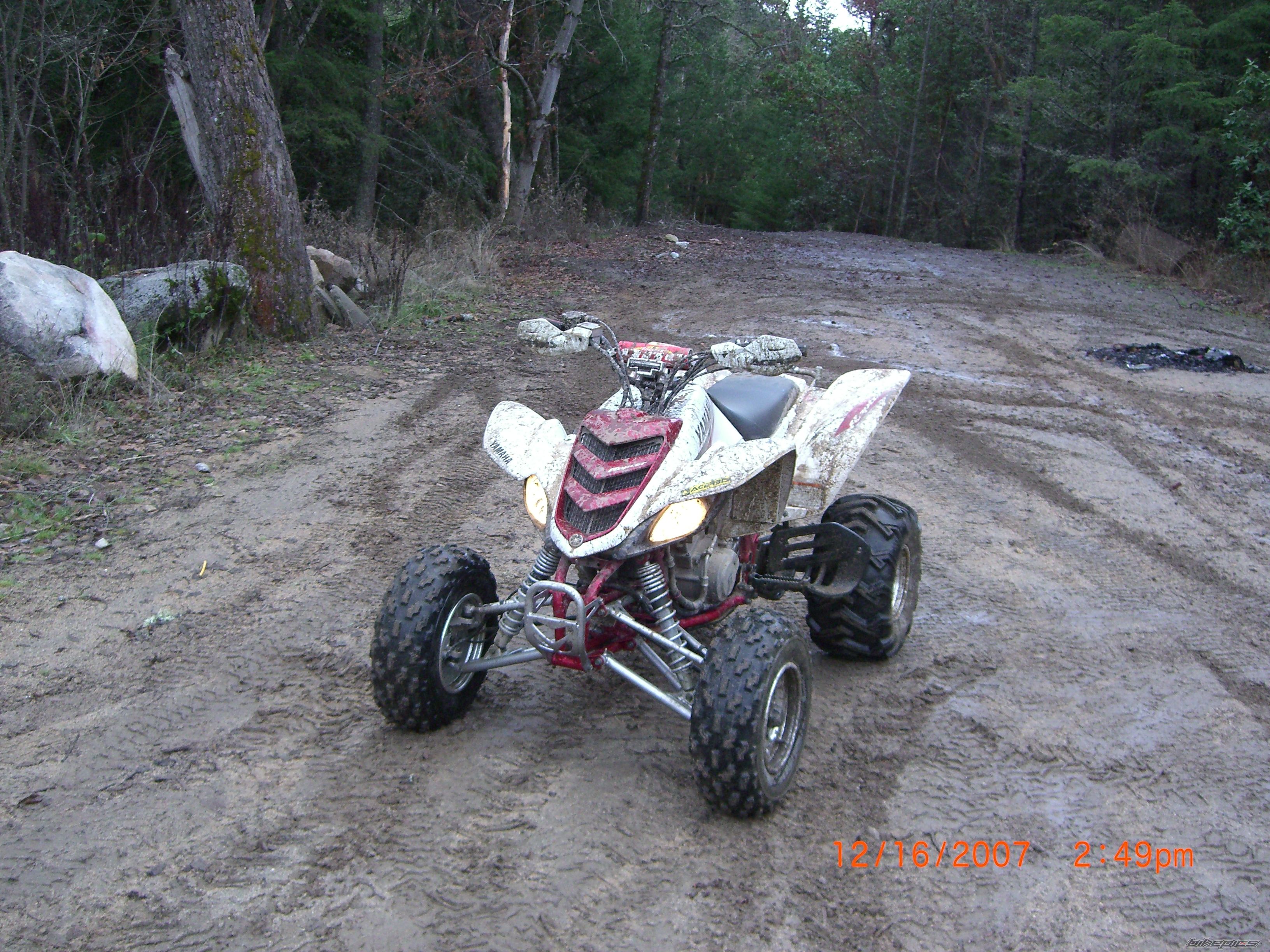 Photo 2494635