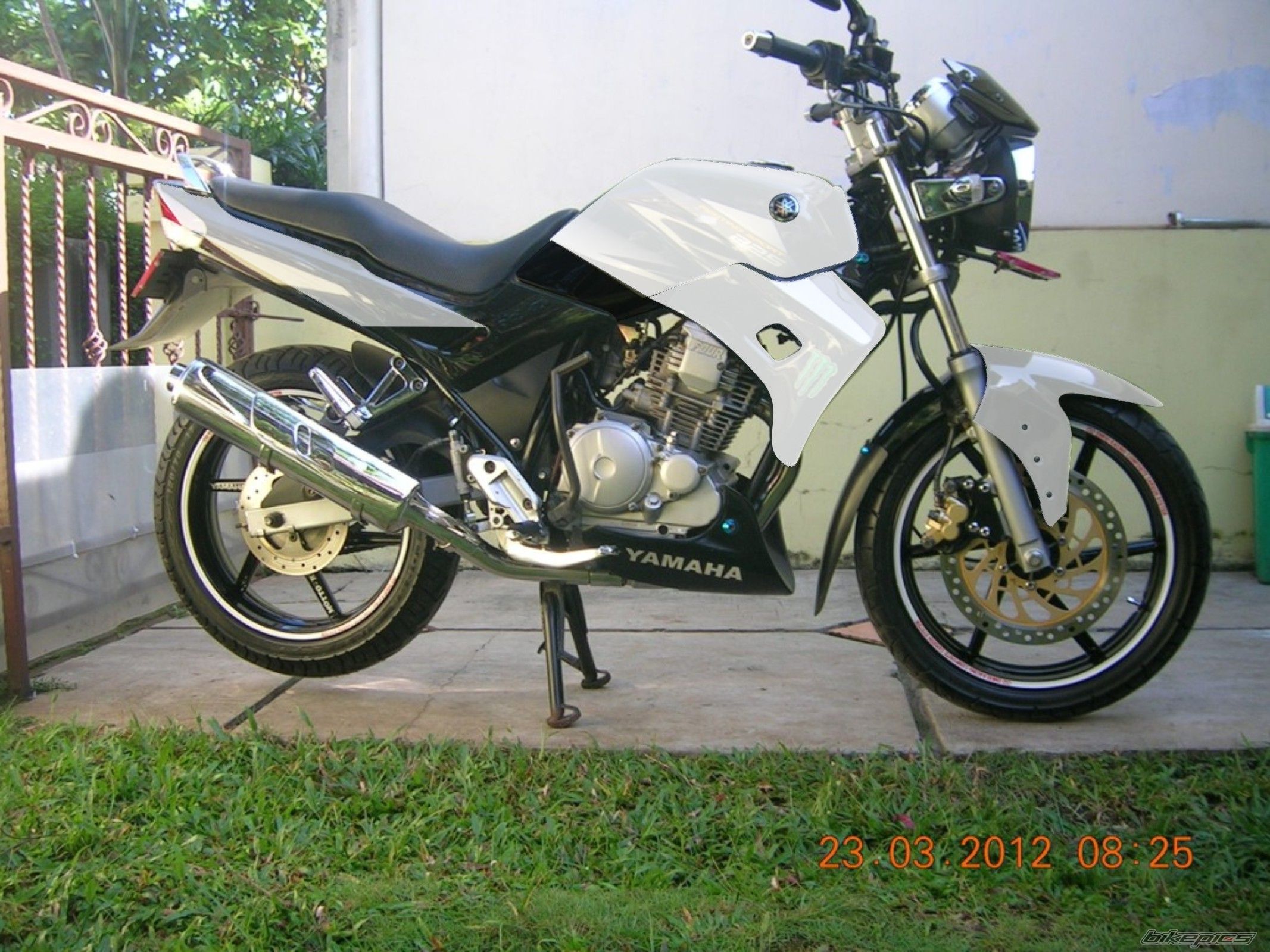 Photo 2494640