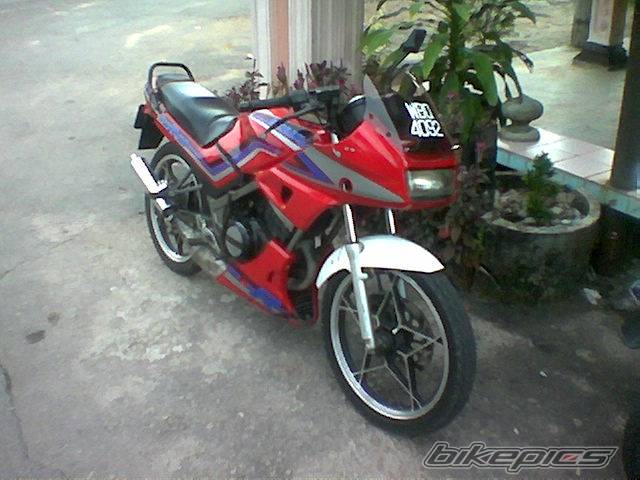 Photo 249467
