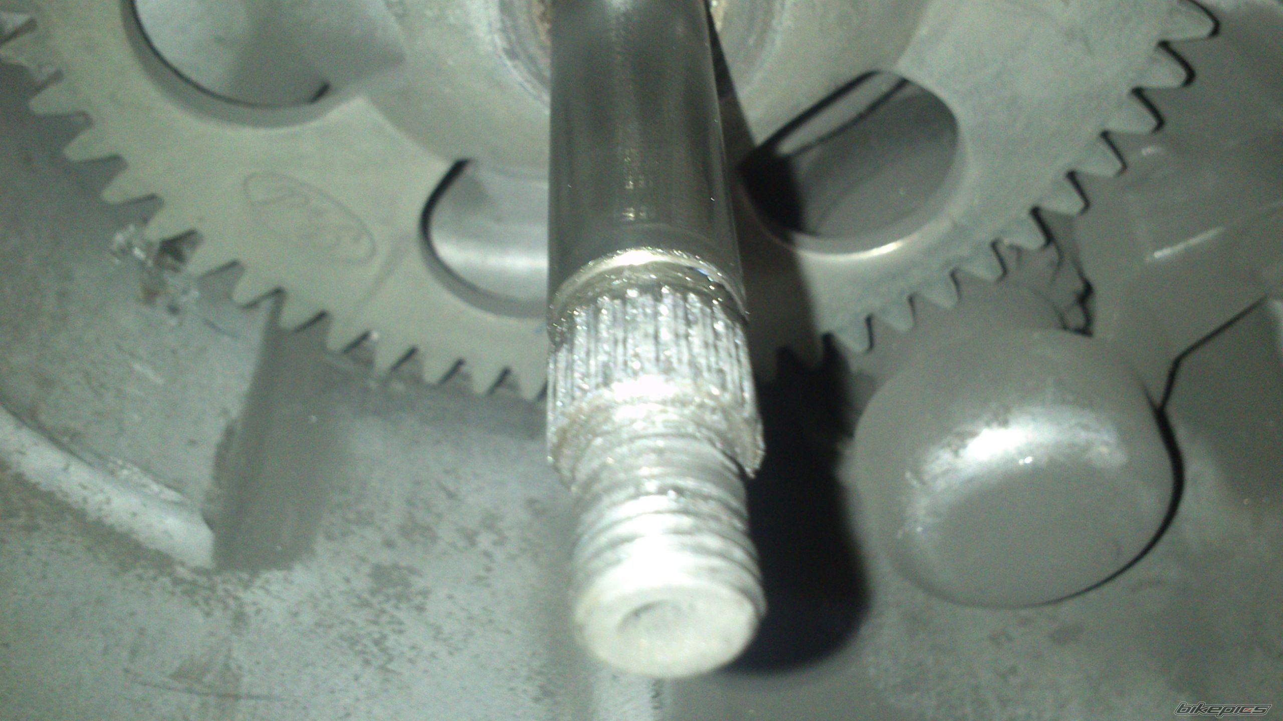 Photo 2494688