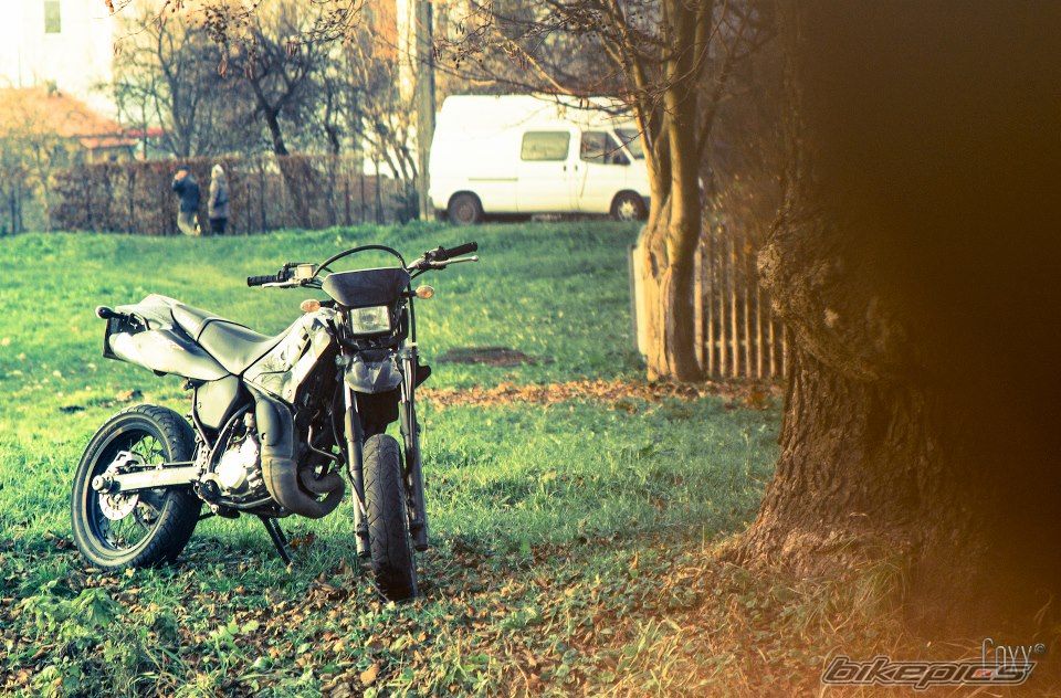 Photo 2494747
