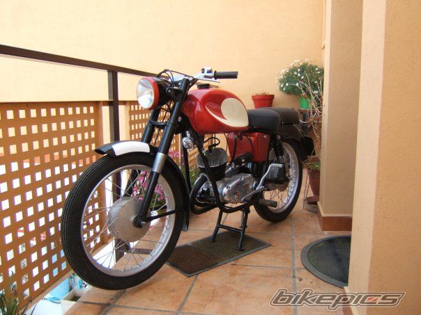 Photo 2494761