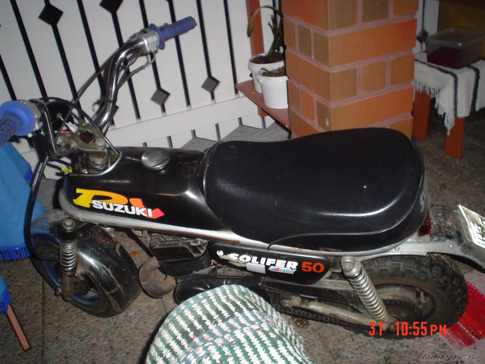 Photo 249478