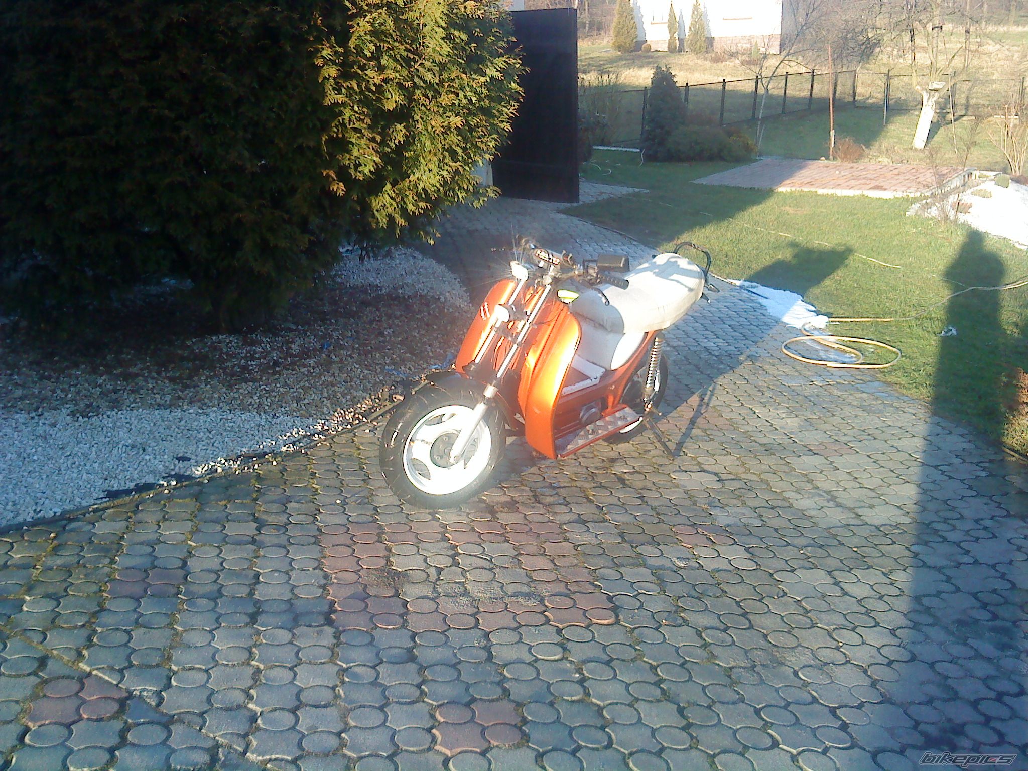 Photo 2494794
