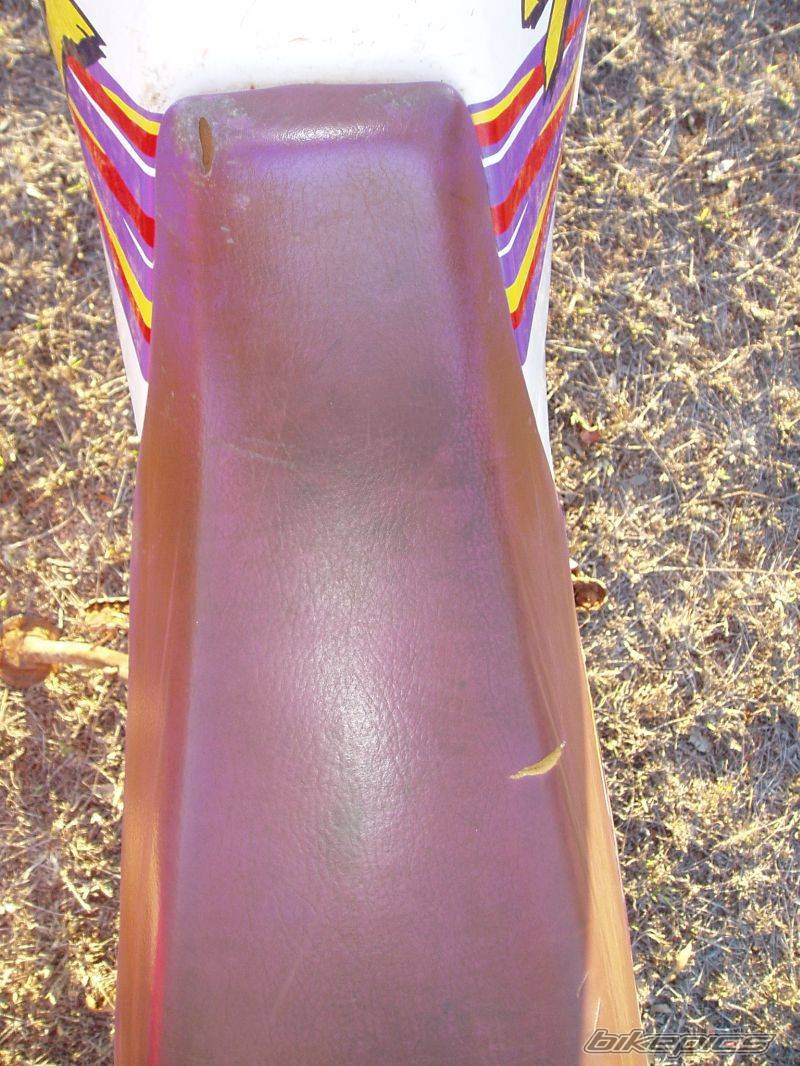 Photo 249509