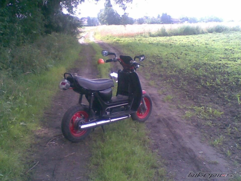 Photo 2495189